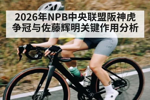 2026年NPB中央联盟阪神虎争冠与佐藤辉明关键作用分析
